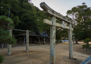 DSC07776