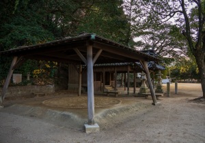 DSC07778
