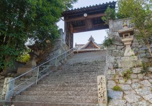 SBJ06879