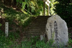 DSC05289