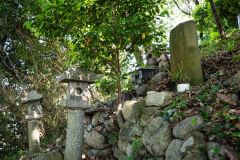 DSC05303