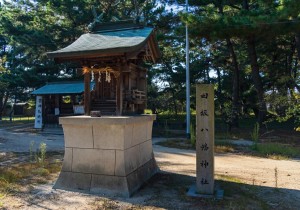 SBJ06685