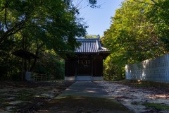 DSC00632