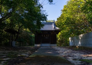 DSC00632