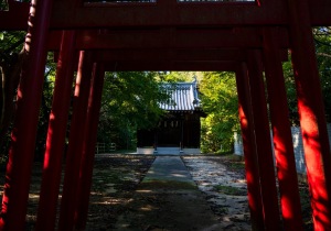DSC00637