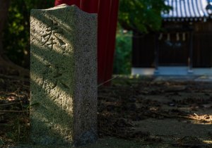 DSC00641