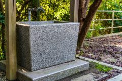 DSC00651