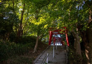 DSC00681