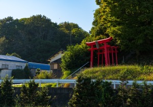DSC00719