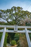 DSC00918