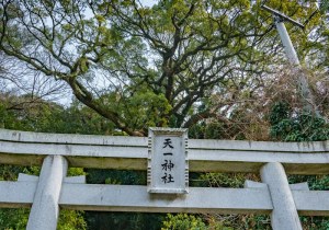 DSC00918