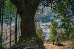 DSC00932