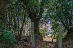 DSC00933