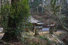 DSC00956