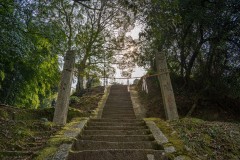 DSC00777