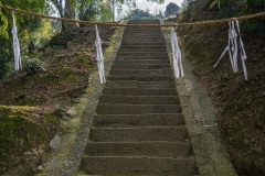 DSC00778