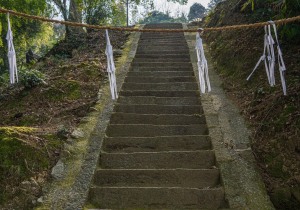 DSC00778