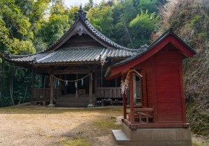 DSC00788