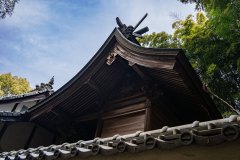 DSC00791