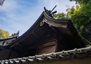 DSC00791