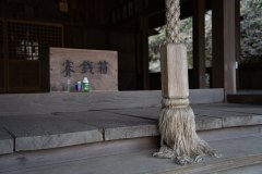 DSC00817