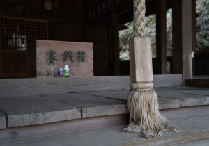 DSC00817