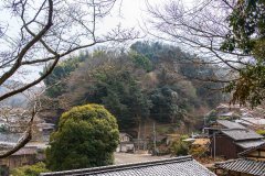 DSC00857