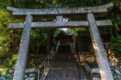 DSC00387