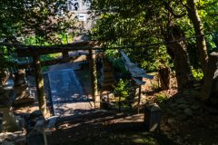 DSC00393