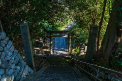 DSC00396