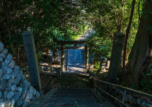 DSC00396