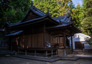 DSC00399