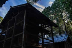 DSC00404