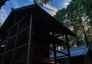 DSC00404