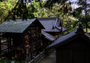 DSC00409
