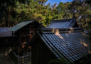 DSC00416