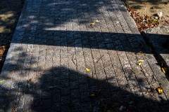 DSC00445