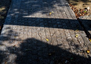 DSC00445