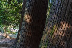 DSC09470
