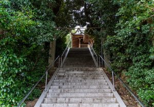 DSC00278