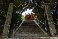 DSC00284