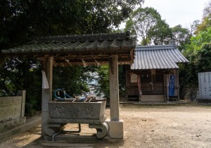 DSC00286