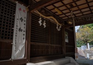 DSC00292