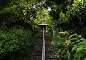 DSC05410