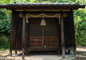 DSC05417