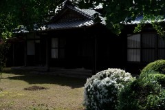 DSC09649