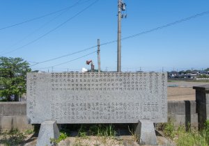 SBJ09572