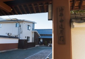 SBJ02441