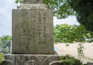 SBJ00646