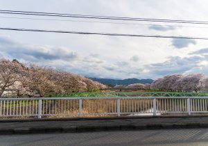 SBJ07617